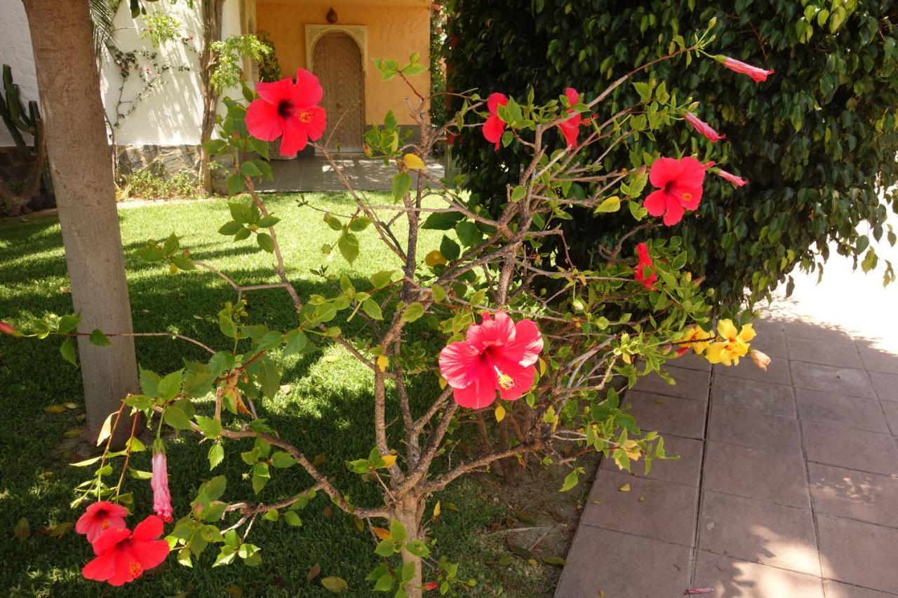 Vera Playa Spain - La Menara Naturist Complex - Eagles Nest - Penthouse מראה חיצוני תמונה